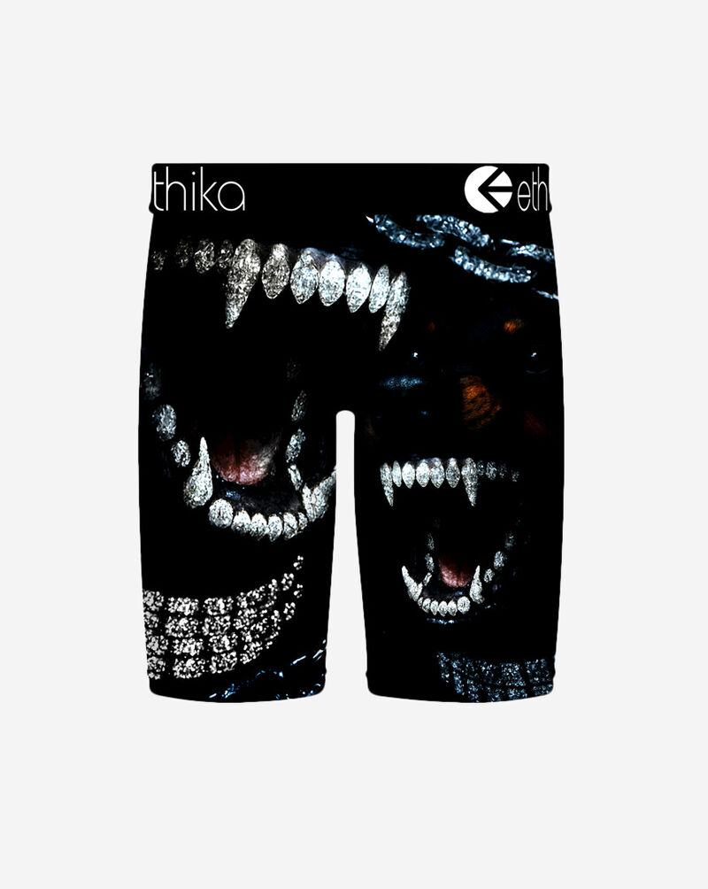 Ethika Sic Em Briefs MFAAAI2611 Multi 3