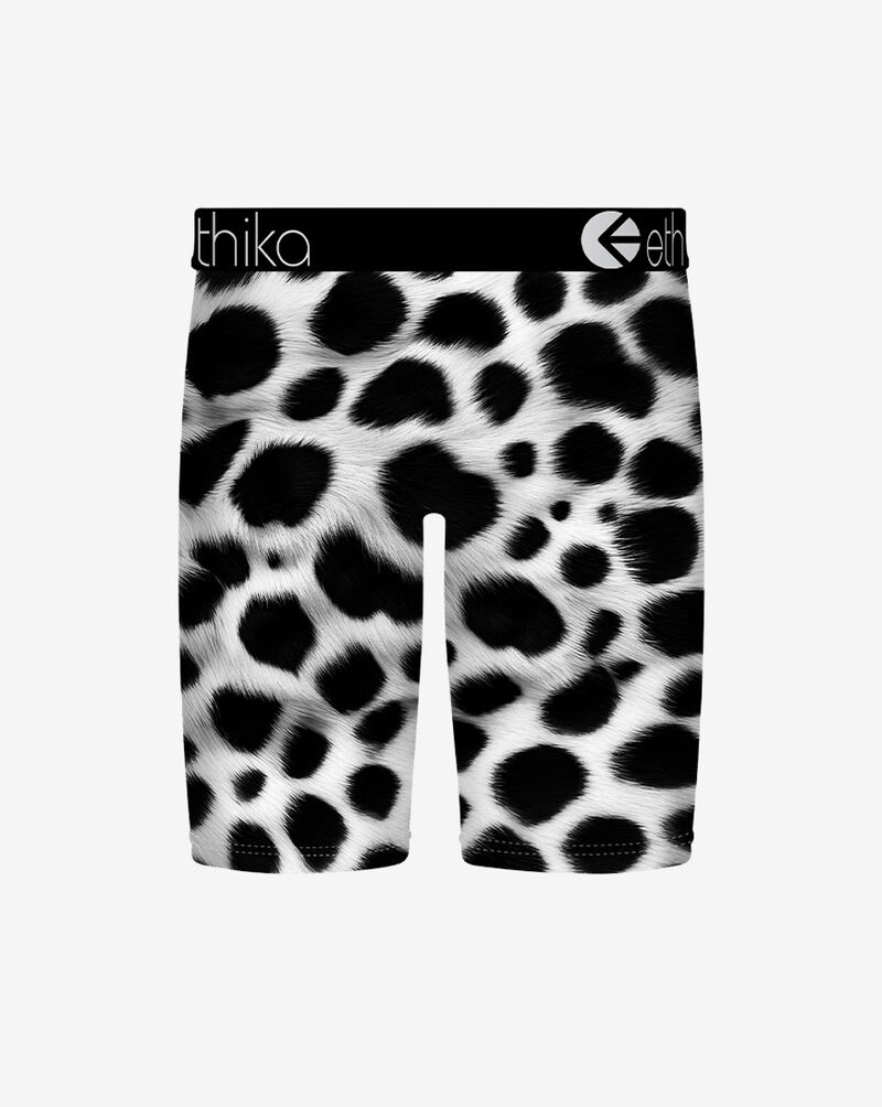 Ethika BMR Out West Briefs BFAAAG2507 Multi 3