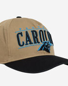 Carolina Panthers City Line Hitch Snapback Hat