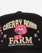Field Grade Cherry Bomb Farm Mesh Back Trucker Hat 1006535 Black 2