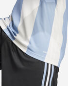 adidas Argentina Anniversary Jersey JF2641 Blue 4