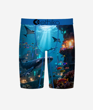 Wadaworld Briefs