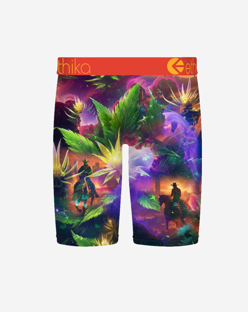 Ethika Western Highline Briefs MLUS3550 Multi 3