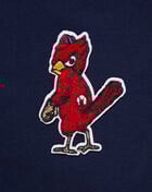St. Louis Cardinals Classic Fleece Hoodie Dress