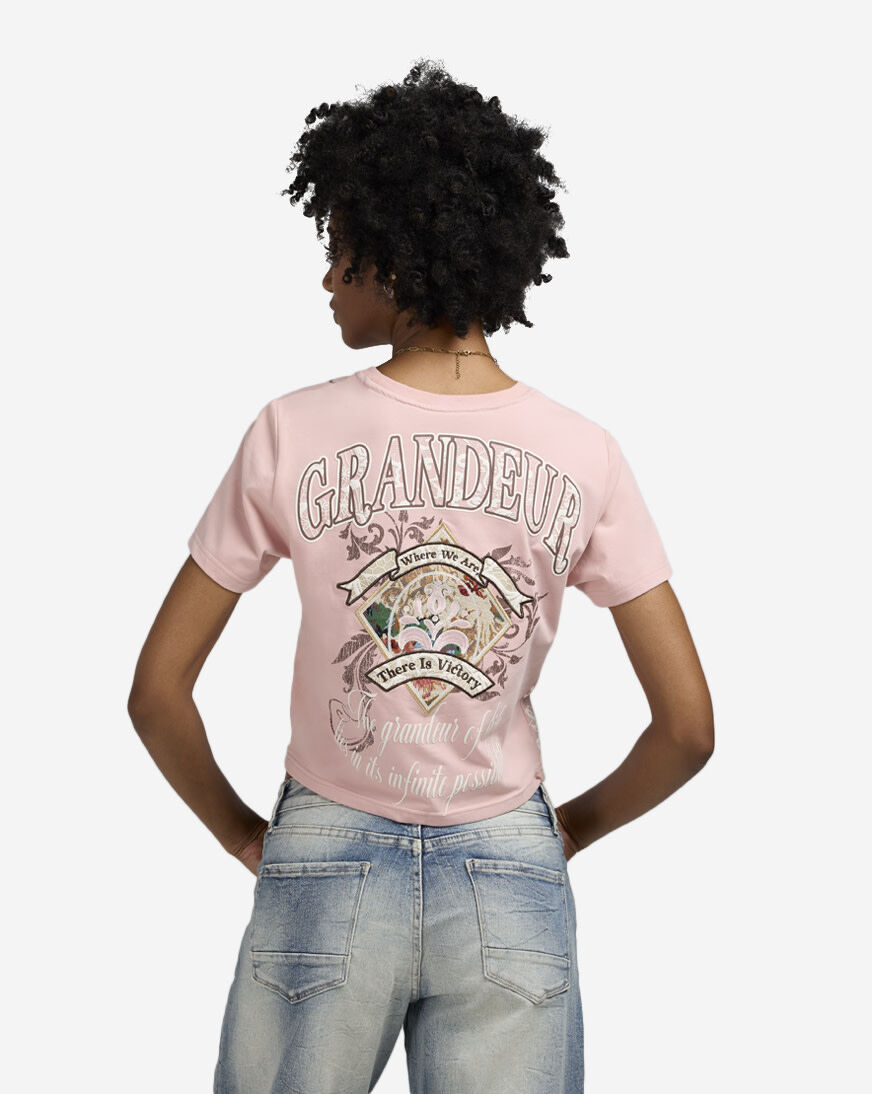 Shop Smoke Rise Boxy Cropped Tapestry Tee NT25601SNZ-SP pink