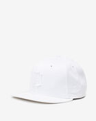 9Fifty Detroit Tigers Snapback Hat