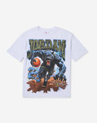 Jordan Big Kids' Panther Graphic Tee 95G394-WHITE White 1