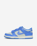 Big Kids' Dunk Low