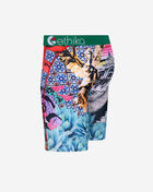 Ethika Cinco Cinco Briefs MLUS3190 Multi 2