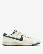 Dunk Low Retro