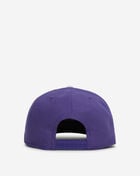 New Era 9Fifty Philadelphia Phillies A-Frame Snapback Hat 71009585 Purple 3