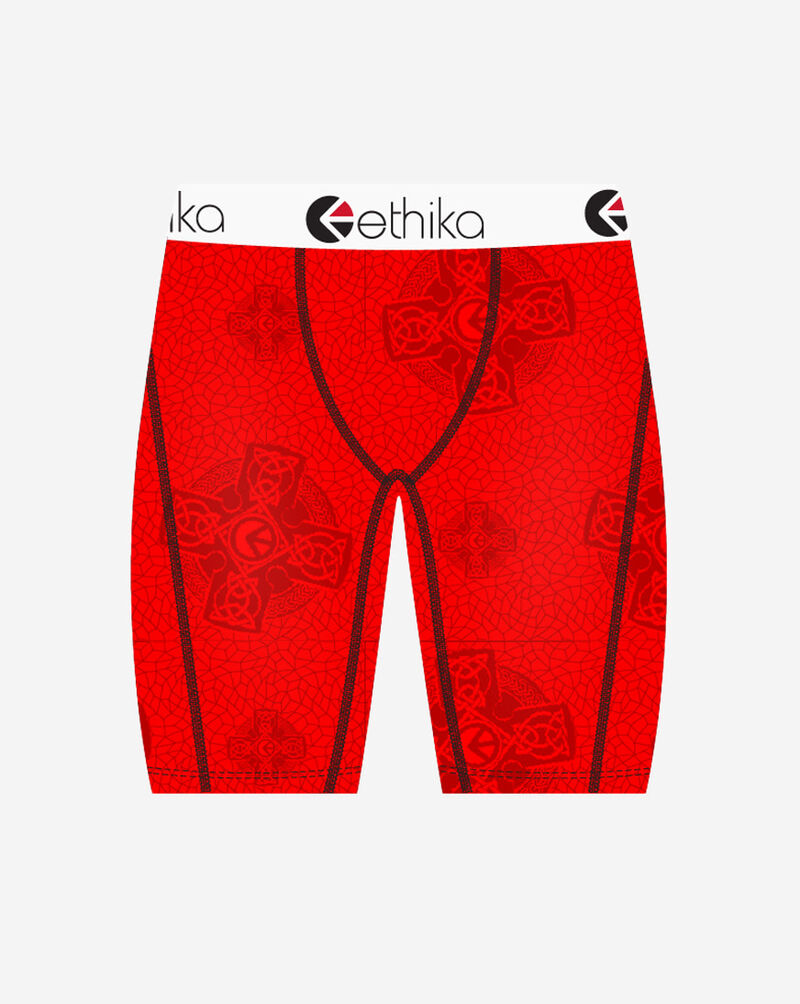 Ethika Prophesy Briefs  MLUS3591 Multi 1