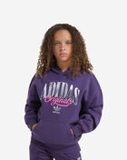 adidas Kids' Silver Foil Logo Fleece Hoodie  OA01197-AURORAPLUM Purple 1