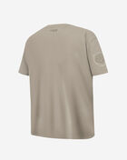 PRO STANDARD Big Boys' Detroit Tigers Neutral Tee LDTB1314982-TAU Beige 3