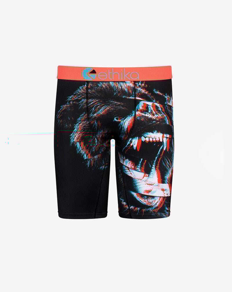 Ethika Boys' Bear Matrix 3D Briefs BLST1719 Black 1