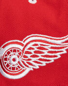 Detroit Red Wings Pro Snapback Hat
