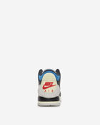 Big Kids' Air Jordan 3 Retro