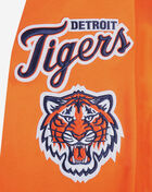 PRO STANDARD Detroit Tigers Classic Chenille Double Knit Pull Over Hoodie LDT531143-ORG Orange 4