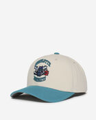 Charlotte Hornets Game on Pro Snapback Hat