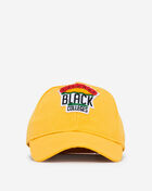 Retro Fitted Hat
