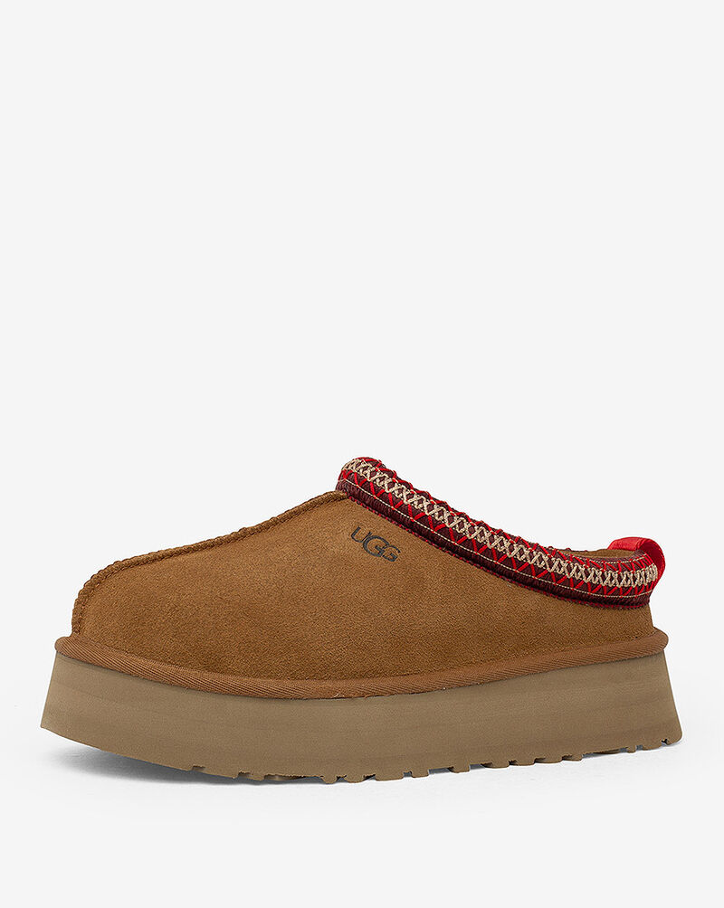 Shop UGG Tazz Slipper 1122553CHE brown | SNIPES USA