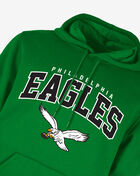 Philadelphia Eagles Logo Hoodie