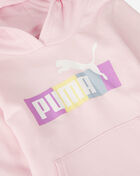 Toddler Hoodie and Jogger Set