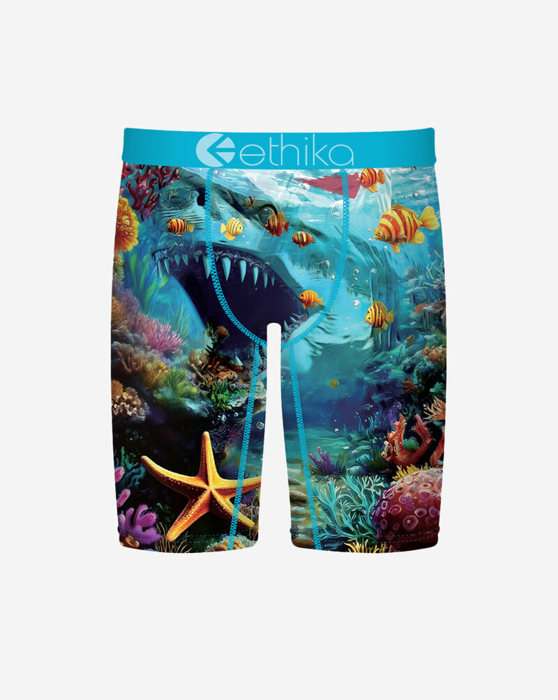 Ethika Shadow Tip Briefs  MSUAAF2607 Multi 1