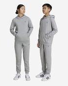 adidas Big Kids' Essential Fleece Pants IX5297 Grey 3
