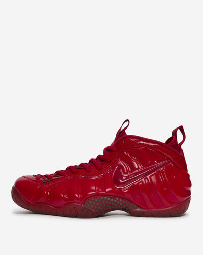 Air Foamposite Pro