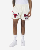 Chicago Bulls Area Code Mesh Shorts