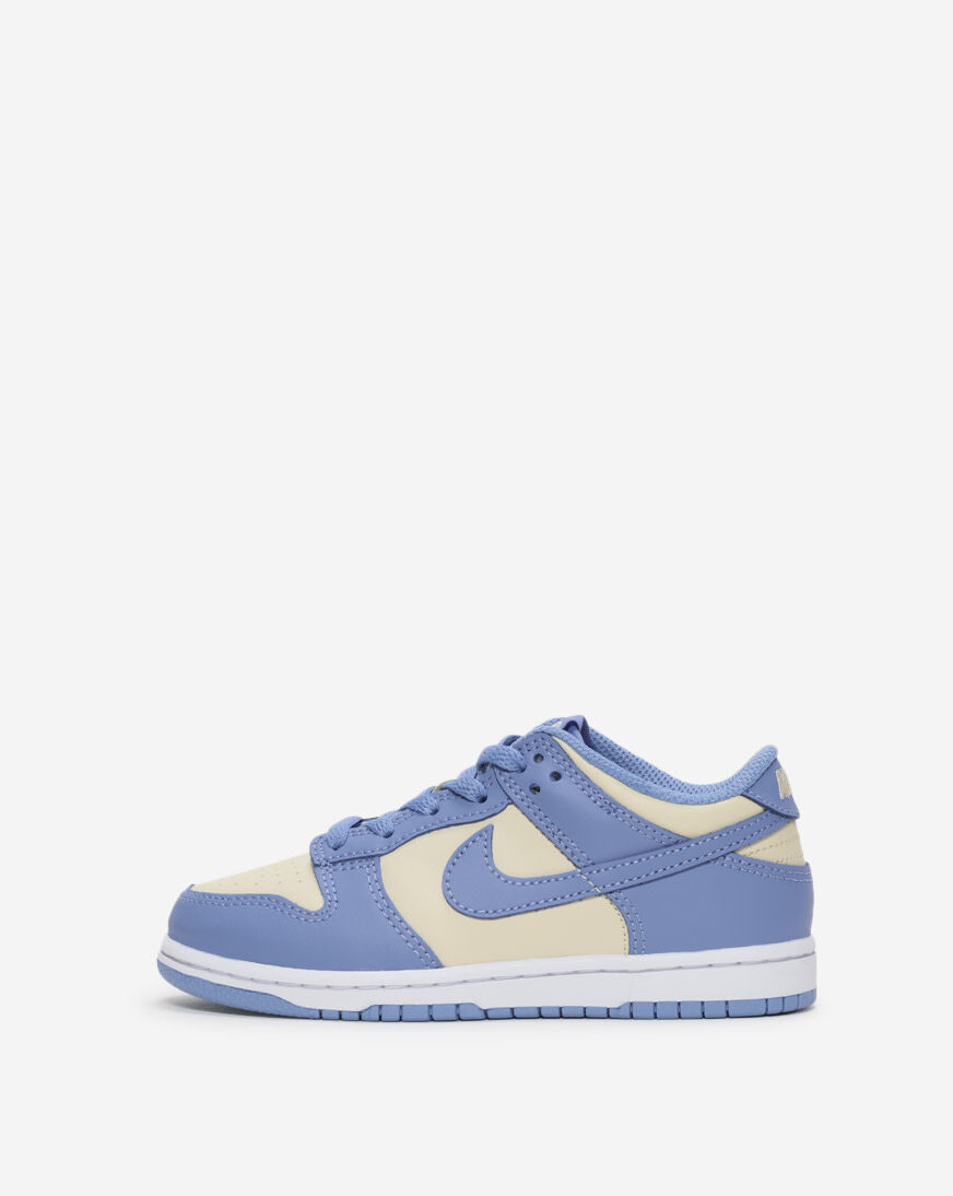 nike dunk coast stockx