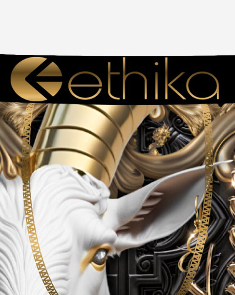 Ethika Grade School Goatness Briefs BLST3543 Multi 3