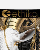 Ethika Grade School Goatness Briefs BLST3543 Multi 3