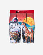 Grade School Astro Zoo Briefs