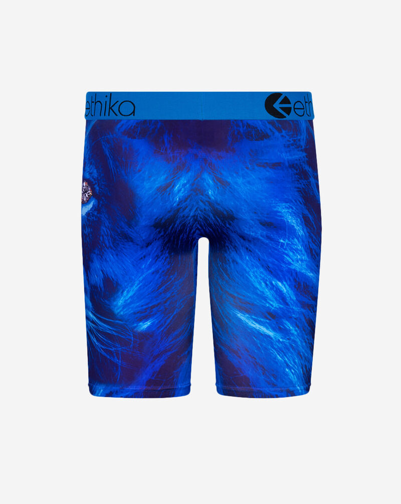 Shop Ethika Tru Lion Briefs MLUS2249 multi SNIPES USA