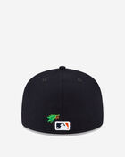 Houston Astros Stateview Fitted Cap