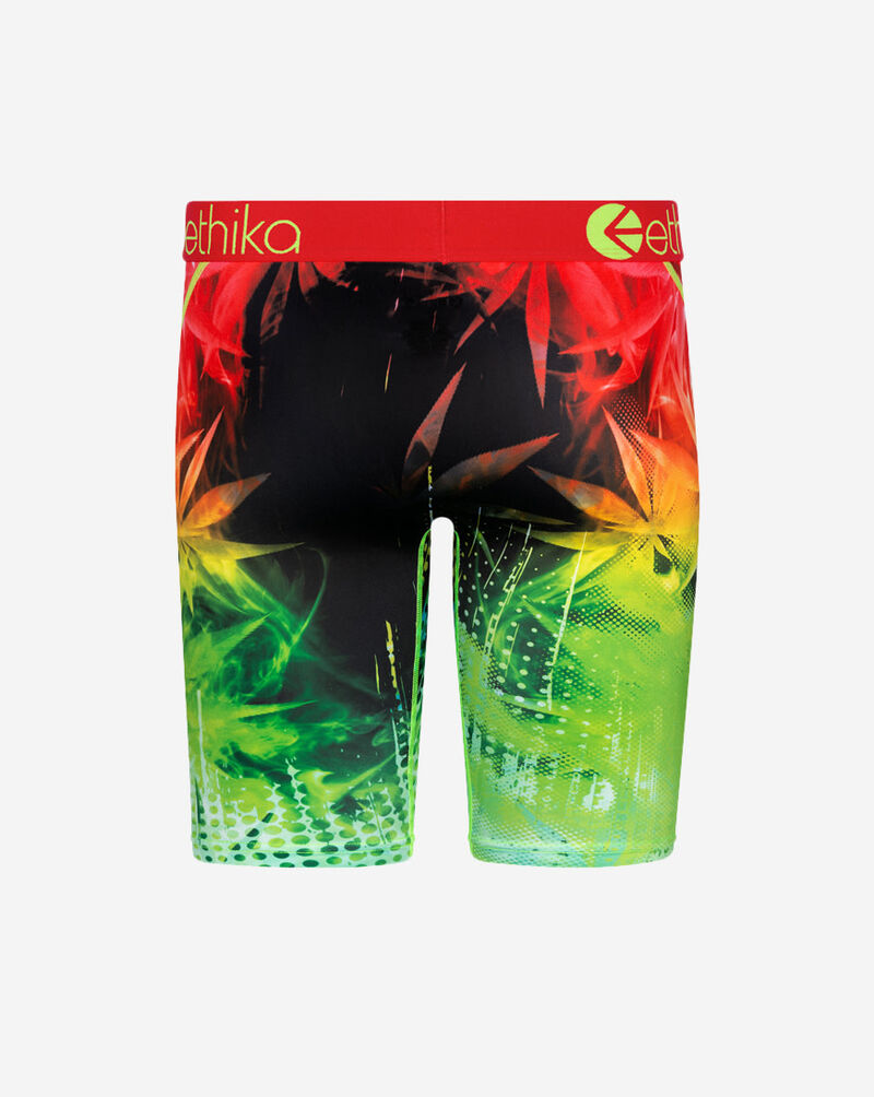 Shop Ethika BMR High Briefs MLUS2247 multi SNIPES USA
