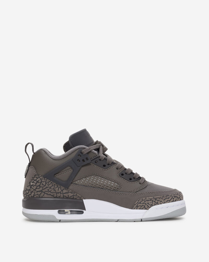 Jordan Big Kids' Spizike Low FQ3950-201 Grey 4