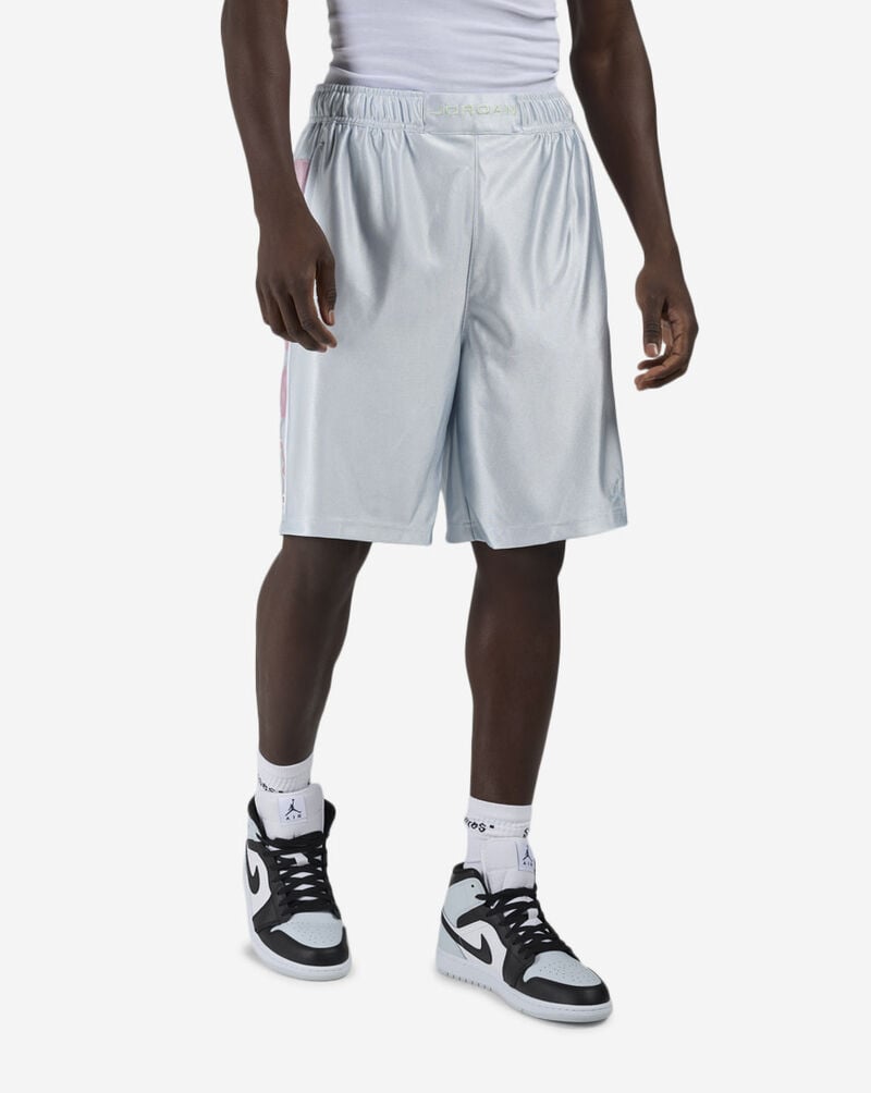 Jordan Brooklyn Cat Scratch Shorts HV0560-472 Blue 1