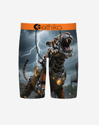 Ethika Cyberfang Briefs MSPAAC2607 Multi 1