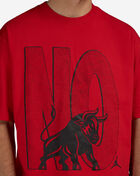 Jordan Brooklyn T-Shirt IR2117-612 Red 3
