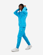 Classic Fleece Hoodie