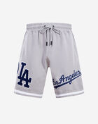 PRO STANDARD Los Angeles Dodgers Classic Chenille Double Knit Short LLD331605-GRY Grey 1