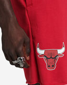 Chicago Bulls Game Day Fleece Shorts