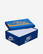 Jordan Air Jordan 1 Retro High OG DZ5485-003 Grey 10