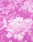 Jordan Kids' Brooklyn Essentials Floral AOP Pullover Set 35D424-A2B Pink 2