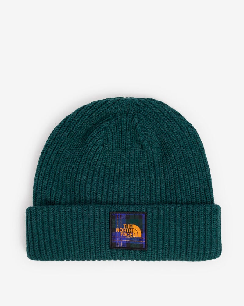 The North Face Salty Dog Beanie NF0A3FJW-83L Green 1