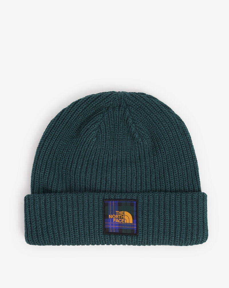 The North Face Salty Dog Beanie NF0A3FJW-83L Green 1
