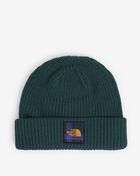 The North Face Salty Dog Beanie NF0A3FJW-83L Green 1